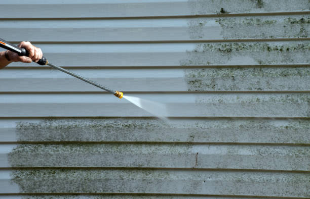 Best Driveway Pressure Washing  in Elk Creek, KY